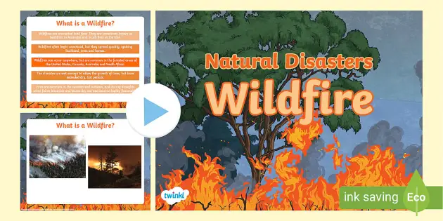 Wildfires KS2 PowerPoint - Natural Disasters (Teacher-Made)