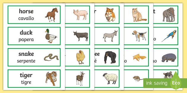 Beginner Italian Flash Cards Farm & Zoo Animals - Animali