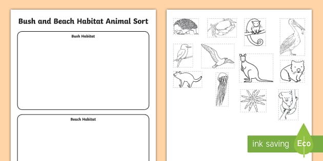 Bush and Beach Habitat Animal Sort Worksheet / Worksheets