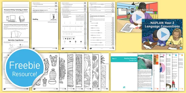 free naplan tests for year 3 practice tests twinkl