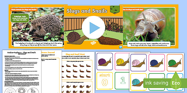 Outdoor Explorers - KS1 Summer - Lesson 6: Slugs and Snails