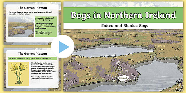 Bogs in Northern Ireland PowerPoint (Hecho por educadores)