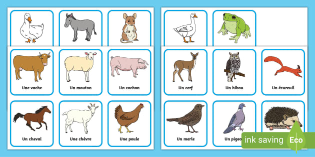 👉 French Animal Snap Cards | Primary Teaching Resources