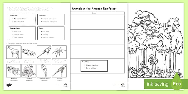 animals in the amazon rainforest cut and paste activity