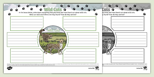 Wild Cats Mind Map Template- Twinkl Topics (teacher made)