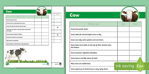 Cow True and False Activity (Teacher-Made) - Twinkl