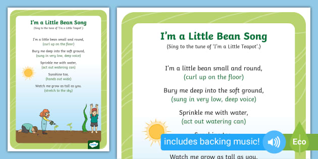 I'm a Little Bean Song Lyric Sheet (With Actions) - Twinkl