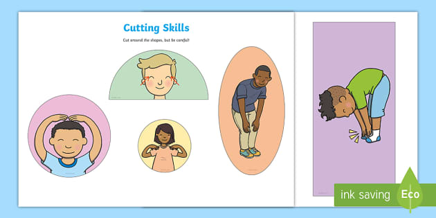 Head Shoulders Knees And Toes Worksheets Resources