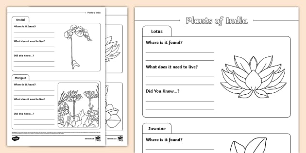 Plants of India Fact File Template (teacher made) - Twinkl