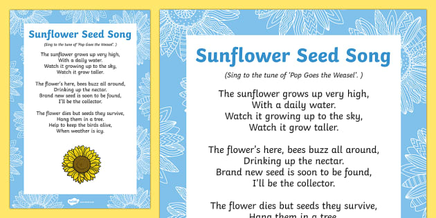 Sunflower Seed Song (teacher made) - Twinkl