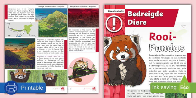 Rooi Pandas - Gevallestudie (teacher made) - Twinkl