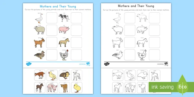 Mothers And Baby Animal Worksheets For Preschool - EYLF