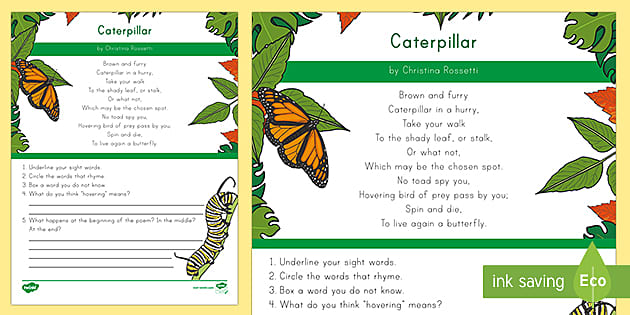 Caterpillar Poem Comprehension Activity teacher Made 