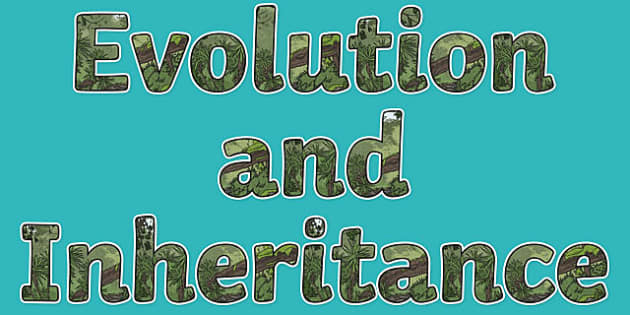 Evolution and Inheritance Display Lettering (teacher made)