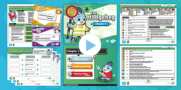 FREE! - The Hodgeheg Whole-Class Guided Reading: Chapter 3 [LKS2]