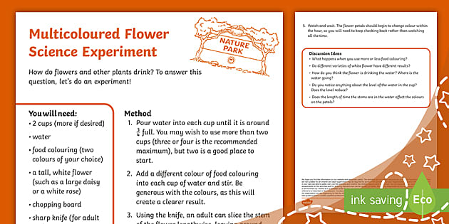 Multicoloured Flower Science Experiment (teacher made)