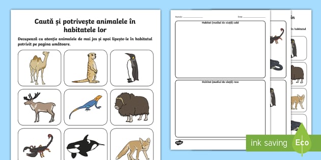 Caută și potrivește animalele în habitatele lor - Fișă Completează diagrama