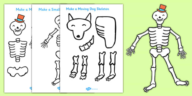 Make a Moving Skeleton  Support Teaching on Funnybones
