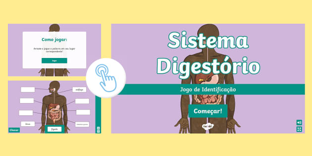 Jogo de perguntas e respostas - Sistema digestório - Ler e Aprender