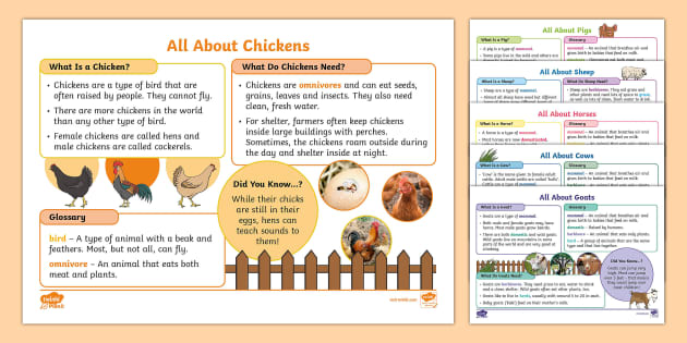 Farm Animals Fact File Pack (teacher made) - Twinkl