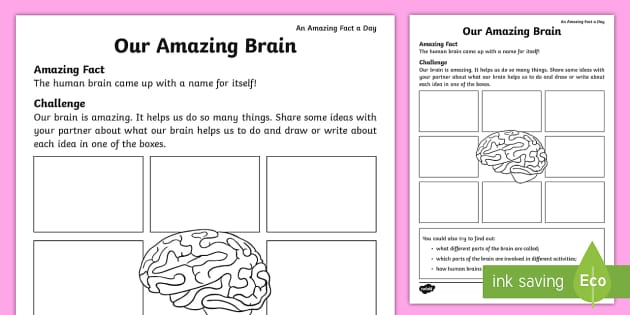 Our Amazing Brain Worksheet / Worksheet - amazing fact august, human body