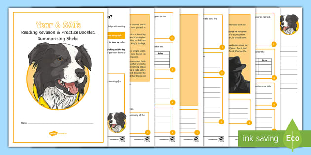 year 6 sats survival reading revision practice summarizing sheba booklet