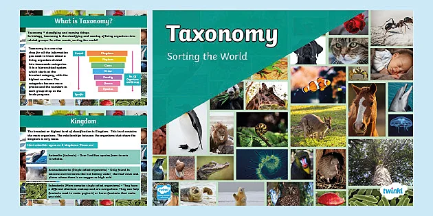 Taxonomy PowerPoint - Animal Kingdom PowerPoint Presentation