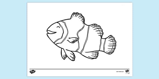 FREE! - Fish Clip Art Colouring Page (teacher made) - Twinkl