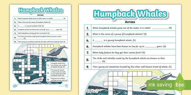 Humpback Whales Crossword Activity Twinkl KS2 Twinkl
