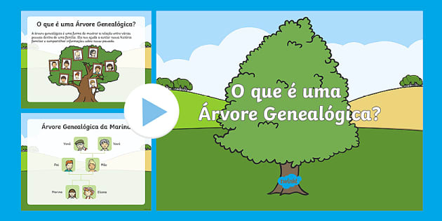 Árvore genealógica, Escola Games, Jogo