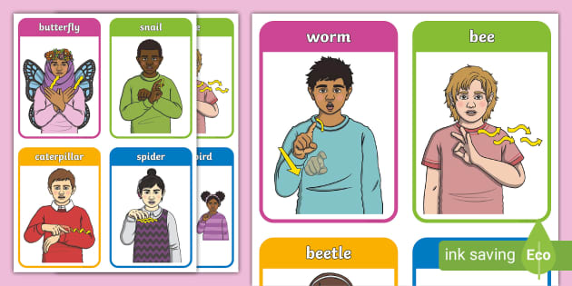 BSL Minibeasts Flashcards | Twinkl SEND Resources - Twinkl