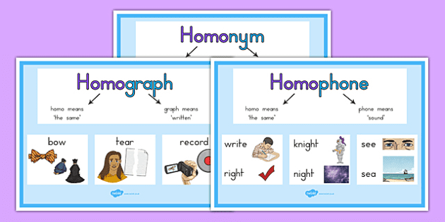 homograph and homophone explanation display posters australia