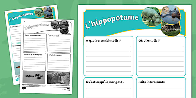 Fiche d'informations : L'hippopotame (teacher made) - Twinkl