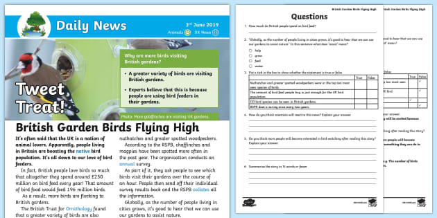 21 Top Bird Feeders Teaching Resources