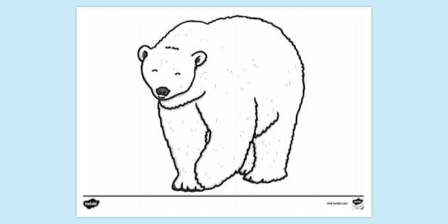 Polar Bear Colouring Pages