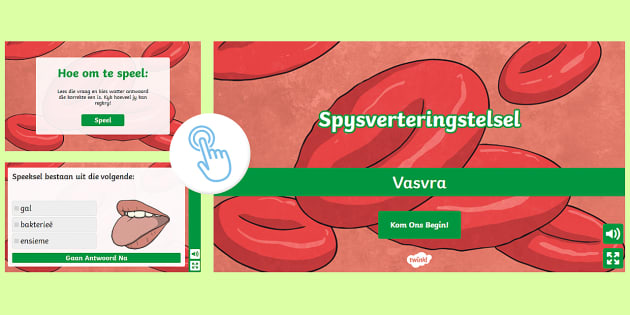 Interaktiewe Speletjie - Spysverteringstelsel Vasvra