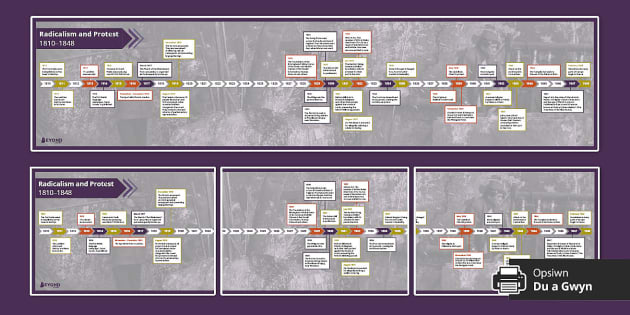 FREE! - Radicalism and Protest: 1810–1848 Timeline