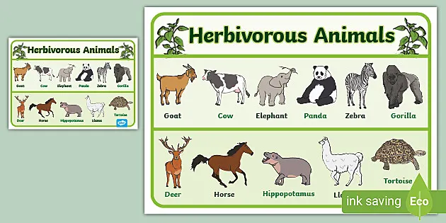 Deer Herbivore Drawing , Of Herbivores transparent background PNG clipart |  HiClipart