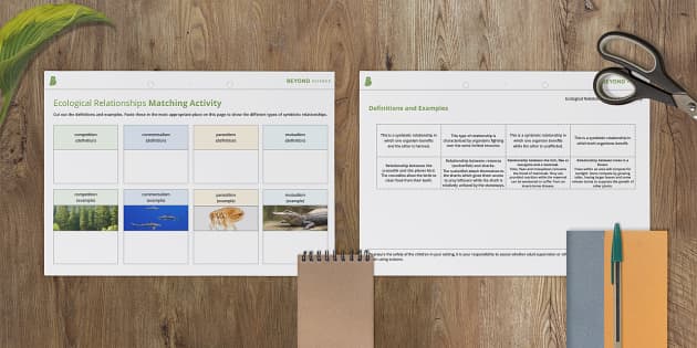 Ecological Relationships Matching Activity (Teacher-Made)