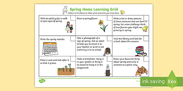 plants homework grid