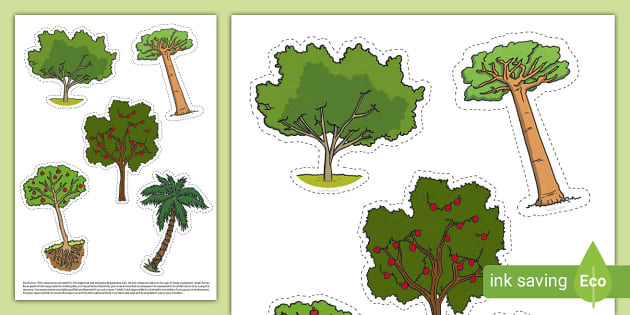 Tree Clip Art Cut-Outs (teacher made) - Twinkl