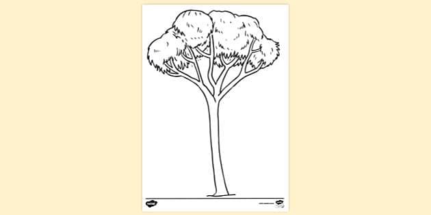 9+ Line Drawing Tree