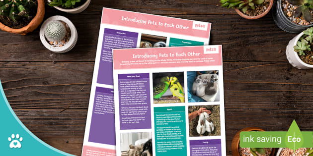 Introducing Pets to Each Other - Information Sheet - Pets