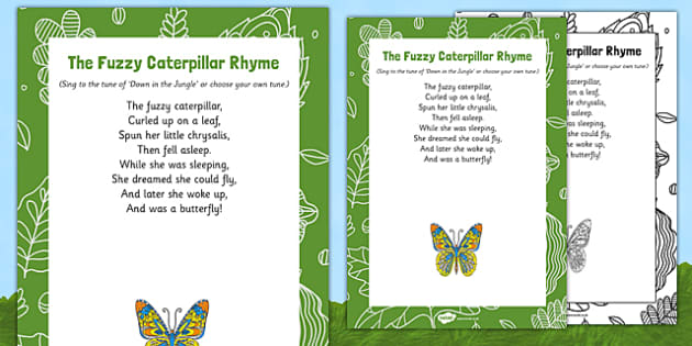 The Fuzzy Caterpillar Display Pack teacher Made Twinkl The Fuzzy Caterpillar Display Pack teacher Made Twinkl