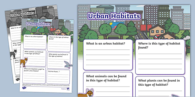 Urban Habitats Fact File Template - Science - Twinkl