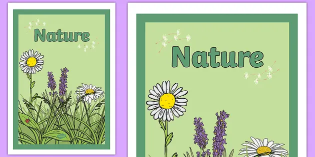 Nature Book Cover - Flowers and Insects Book Cover - Twinkl