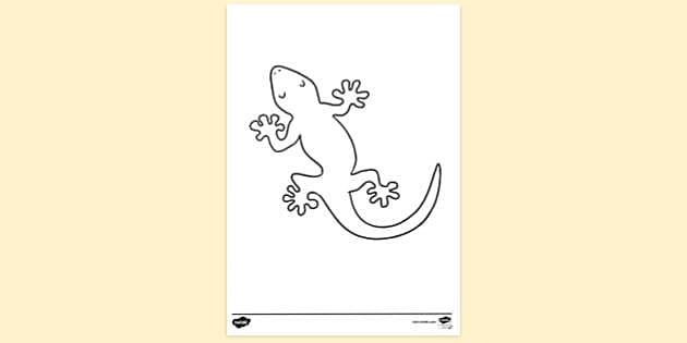 lizard drawing template