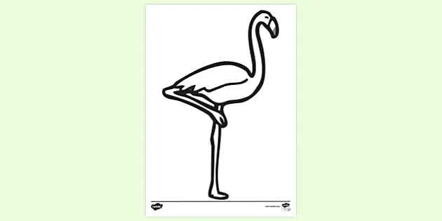 14+ Flamingo Coloring Page