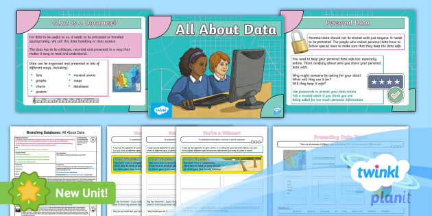 Computing: Branching Databases: All About Data Year 3 Lesson 1