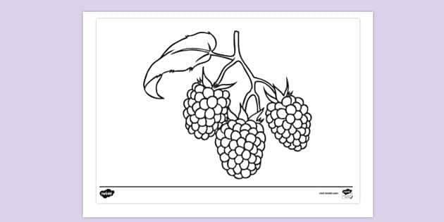 raspberries coloring pages